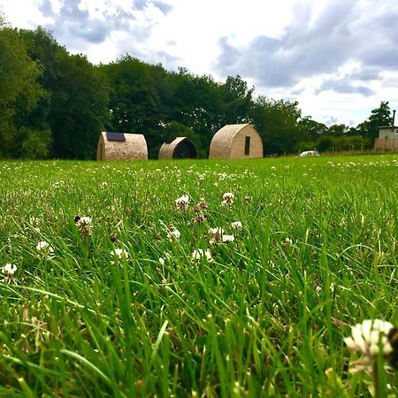Alder Pod, Clay Bank Huts Hotel Ingleby Greenhow Exterior photo